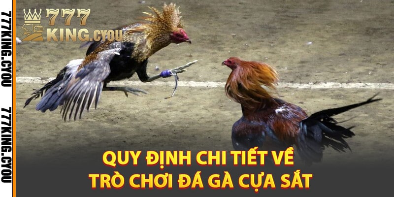 Đá Gà Cựa Sắt – Màn Đấu Sôi Động Trong Mỗi Trận Chiến 3 Quy định chi tiết về trò chơi đá gà cựa sắt